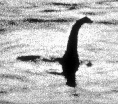 英国发现远古尼斯湖水怪:2亿年前的蛇颈龙
